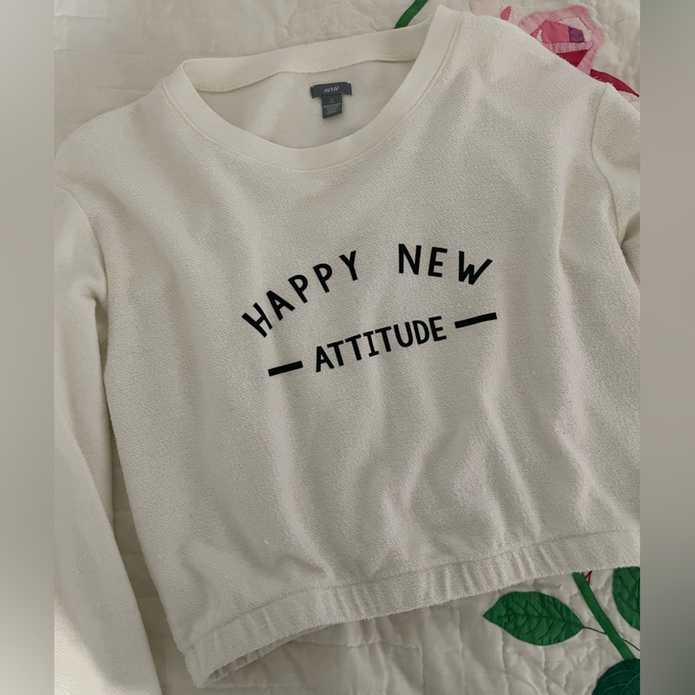 Aerie long sleeve crop top